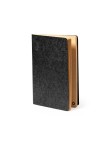 Notebook Rayish