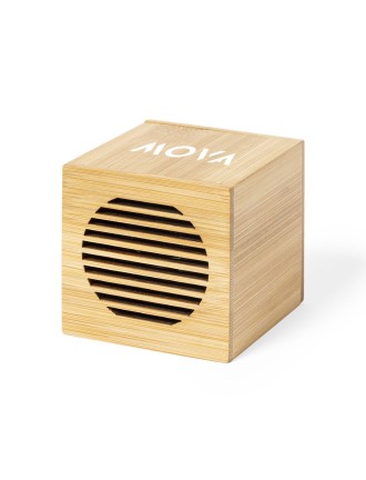 Speaker Teoden