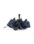 Umbrella Nereus