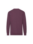Adult Sweatshirt Lightweight Set-In S
