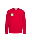 Adult Sweatshirt Lightweight Set-In S