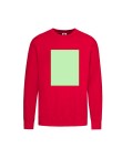 Adult Sweatshirt Lightweight Set-In S