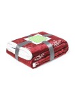 Blanket Ricord