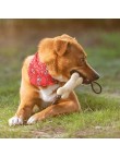 Dog Chew Toy Salmer