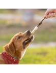 Dog Chew Toy Salmer