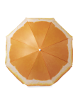 Beach Umbrella Chaptan