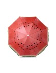Beach Umbrella Chaptan