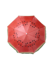 Beach Umbrella Chaptan