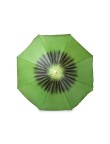 Beach Umbrella Chaptan