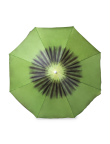Beach Umbrella Chaptan