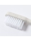 Toothbrush Duncan