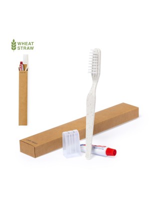 Set Dental Kit