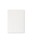 Seeds Sticky Notepad Zomek