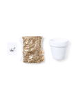 Flowerpot Konte