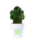 Flowerpot Konte