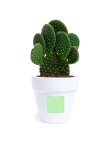 Flowerpot Konte