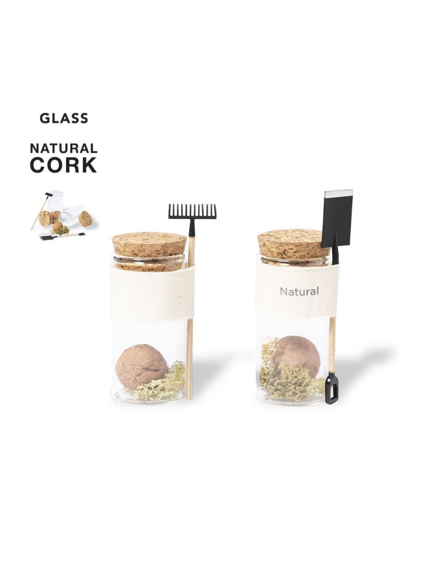 Seed Bonbons Winsu