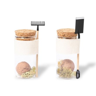 Seed Bonbons Winsu
