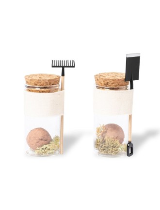 Seed Bonbons Winsu
