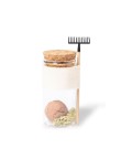 Seed Bonbons Winsu