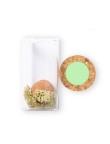 Seed Bonbons Winsu