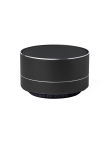 Speaker Skind