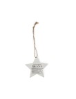 Seeds Christmas Decoration Boster