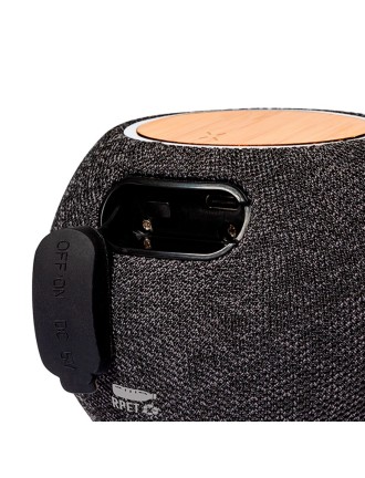 Charger Speaker Cedric