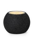 Charger Speaker Cedric
