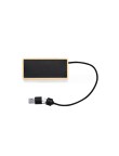 USB Hub Ginger