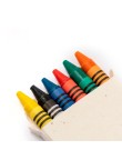 Seeds Crayon Set Fyser