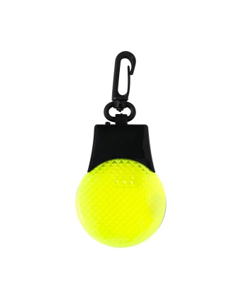 Security Light Elektra