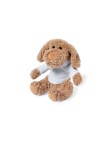 Teddy Chamox