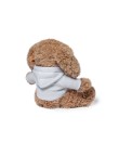 Teddy Chamox