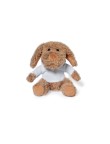 Teddy Chamox