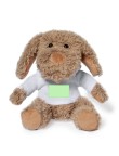 Teddy Chamox