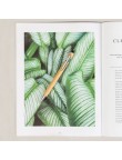 Stylus Touch Ball Pen Clixo