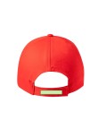Cap Haliard