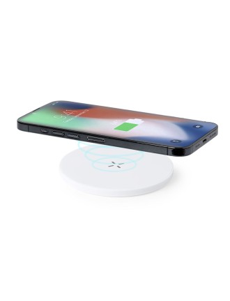 Charger Kambel RCS