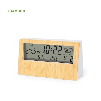 Weather Station Roamer