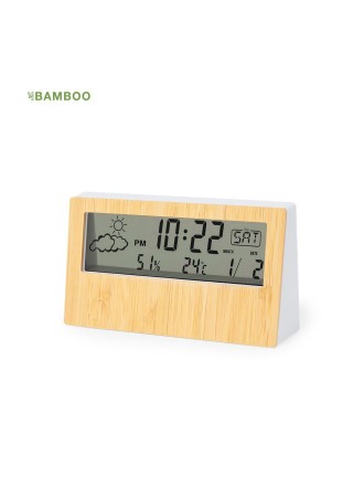 Weather Station Roamer