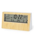 Weather Station Roamer