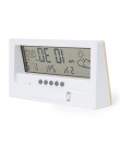 Weather Station Roamer