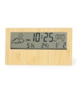 Weather Station Roamer