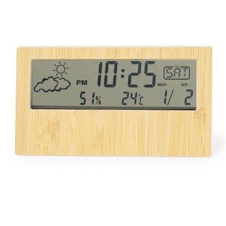 Weather Station Roamer