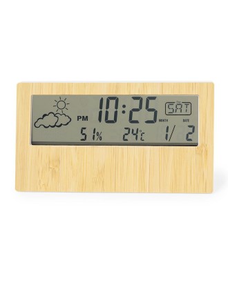 Weather Station Roamer