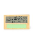 Weather Station Roamer