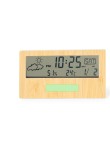Weather Station Roamer