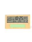 Weather Station Roamer
