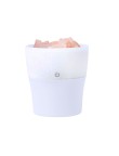 Aromatic Diffuser Boucher